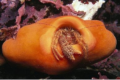 奇幻恐怖FPS《颓废》公布全新故事预告 游戏已登录Steam平台