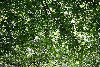 《彩虹六号：围攻》将推出类似CS的皮肤交易市场